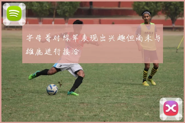 字母哥对绿军表现出兴趣但尚未与雄鹿进行接洽