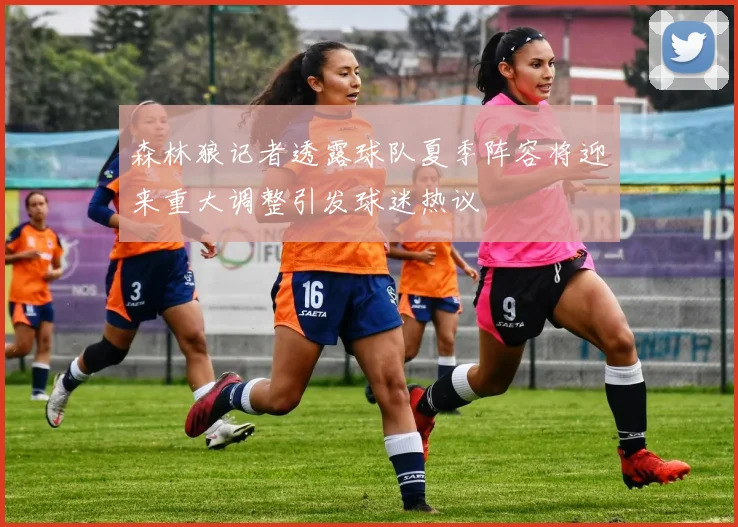 森林狼记者透露球队夏季阵容将迎来重大调整引发球迷热议